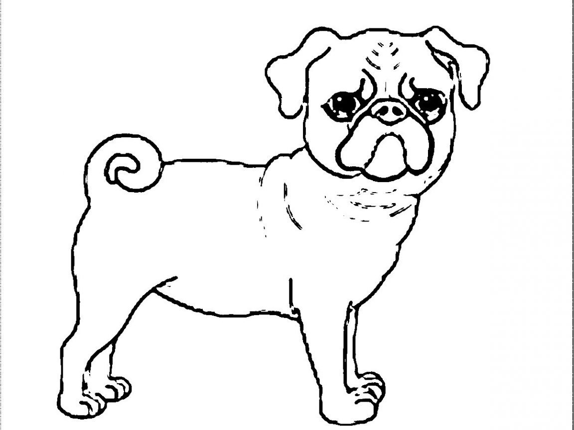 Раскраска собака Мопс