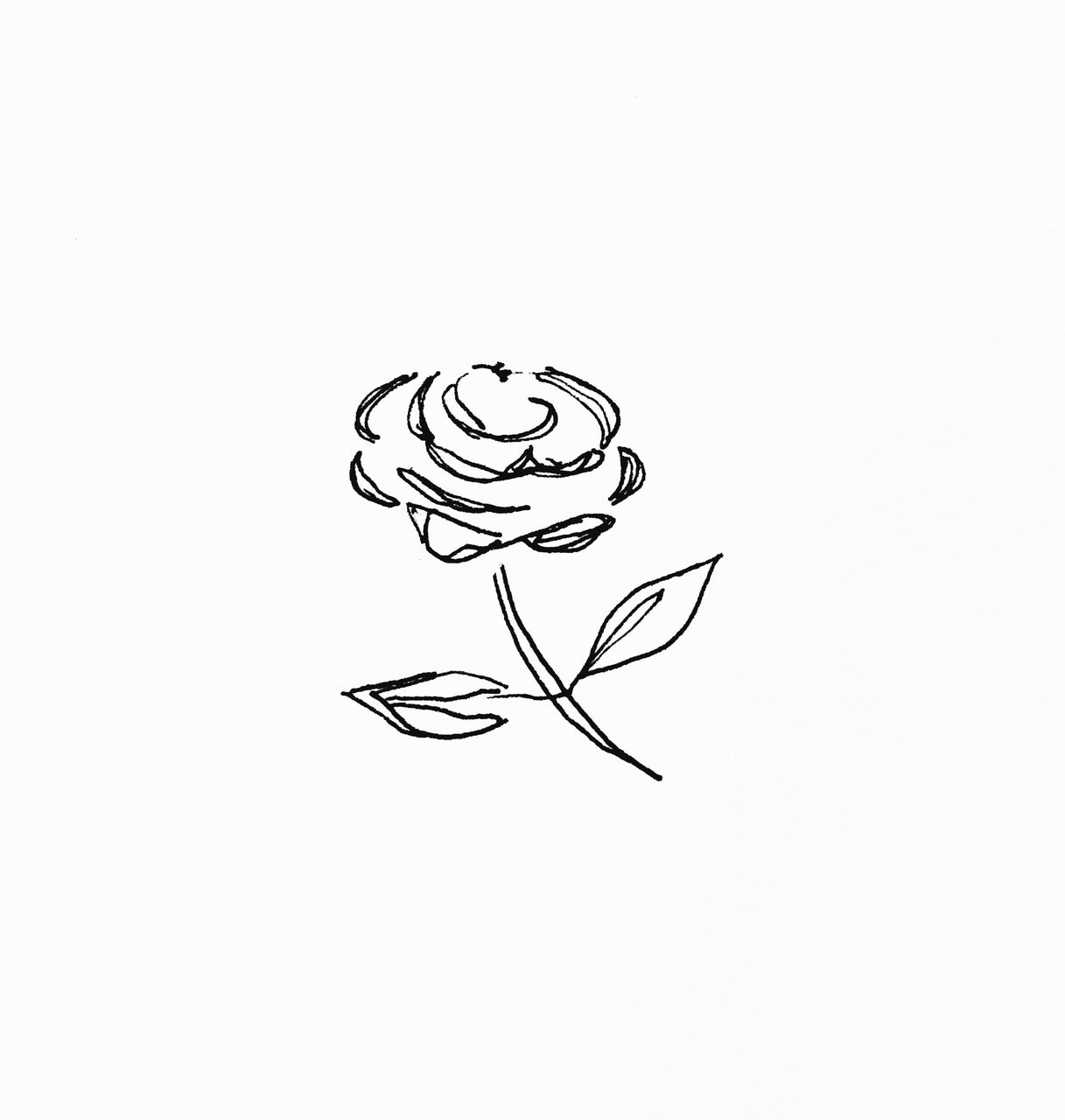 Эскиз маленькой розы