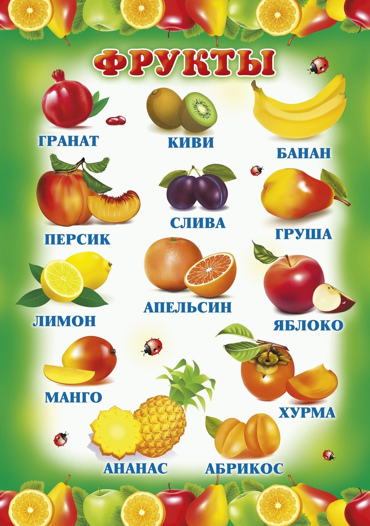 Плакат фрукты для детского сада