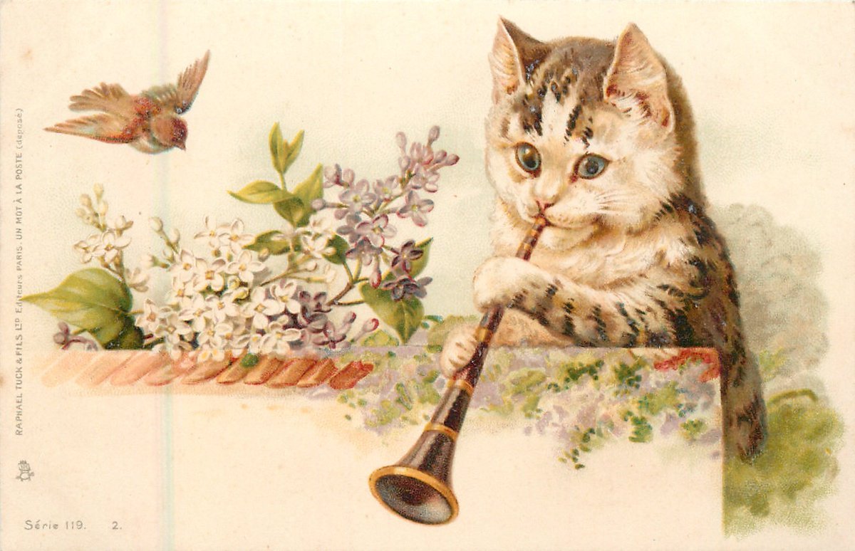 Винтажная открытка с котиком