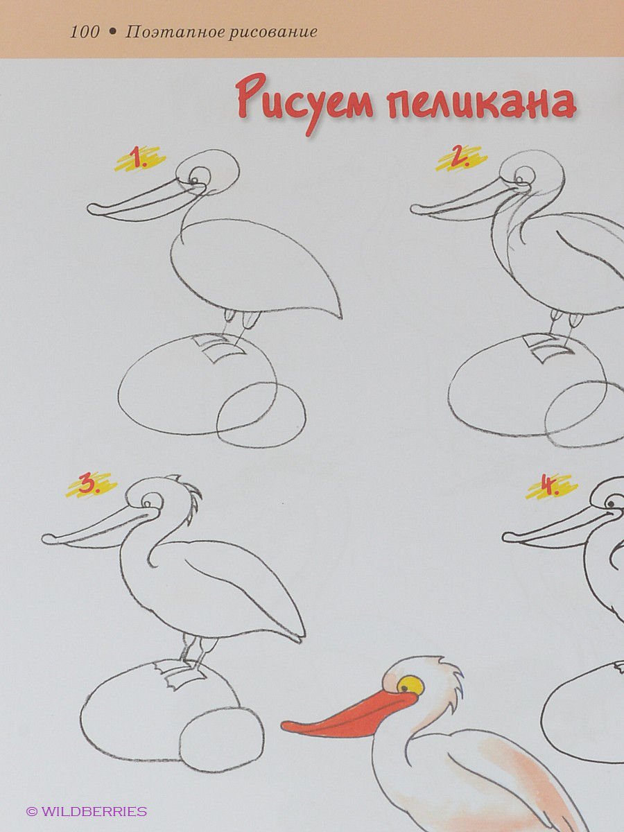 Рисование пеликана с детьми