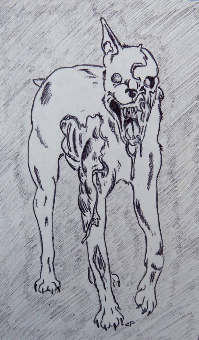 фото духа собаки нарисованный