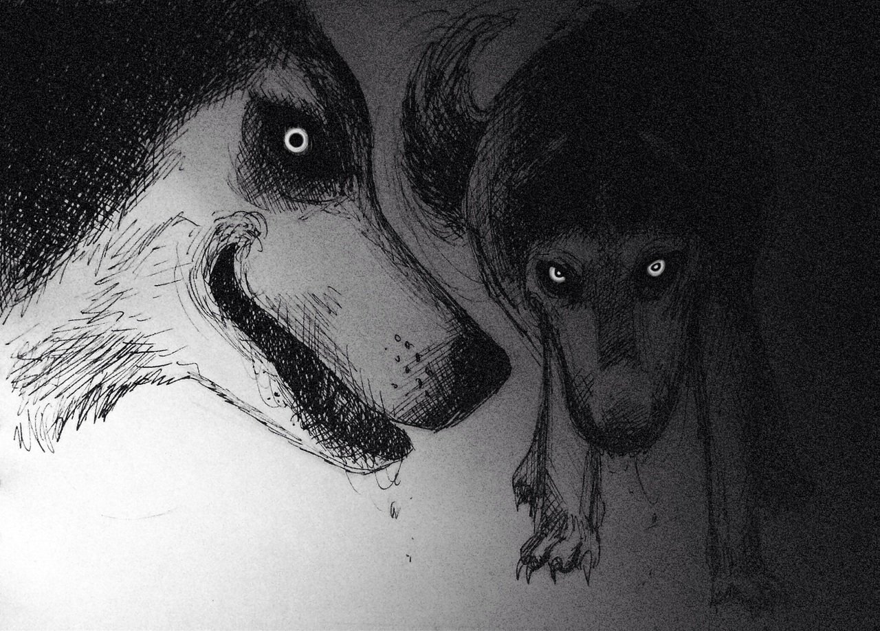 фото духа собаки нарисованный