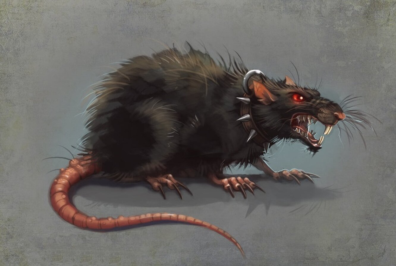Афганская крыса людоед
