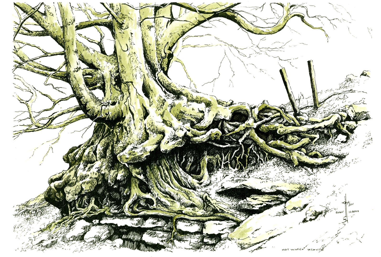 Корявое дерево рисунок