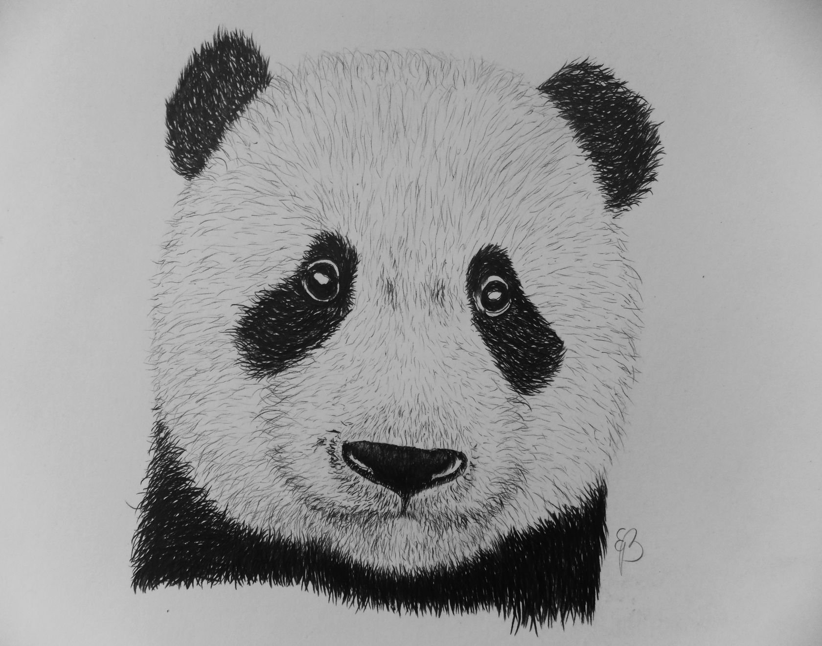 Рисунок панды карандашом легко