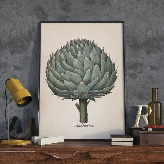 Постер ботаника артишок