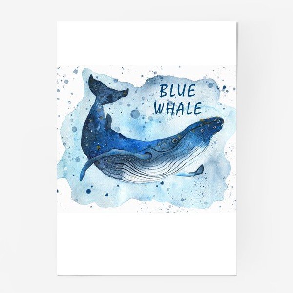 Плакат киты
