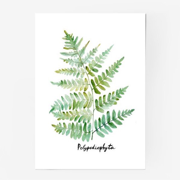 Пальмовые листья акварель