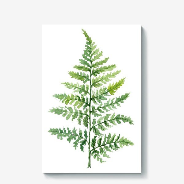 Постер папоротник (49 фото)