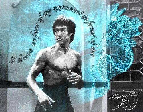 Плакаты 90 Ван Дамм Брюс ли