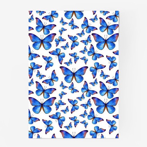 Постеры с видами насекомых