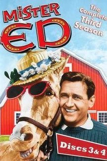 Иваново мистер постер (49 фото)