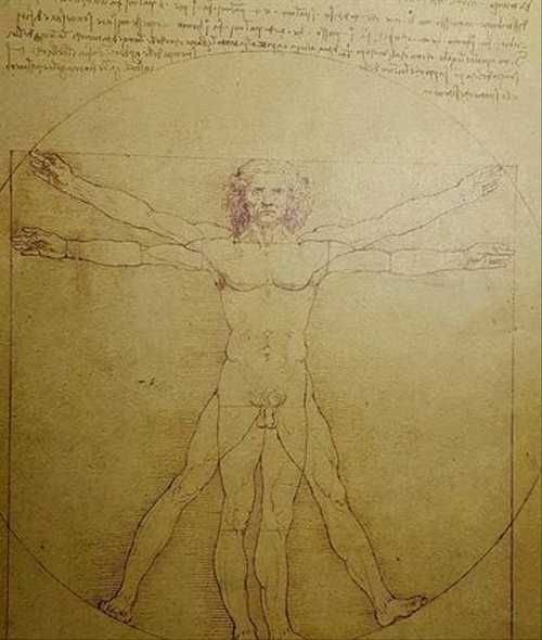 Леонардо да Винчи человек Витрувианский пропорции