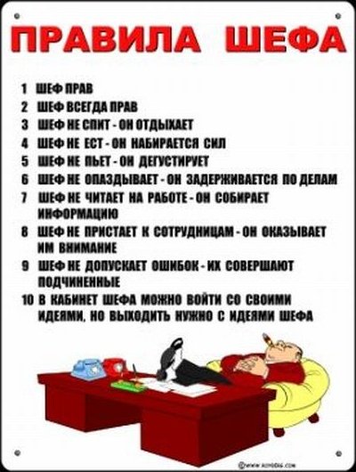 Правила шефа