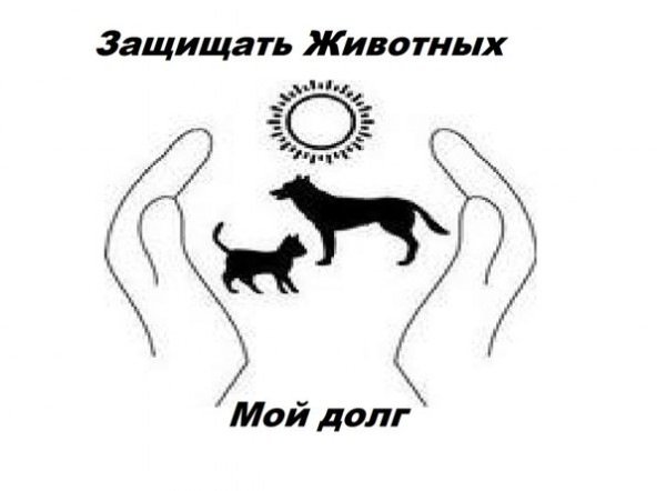 Рисунок по защите природы