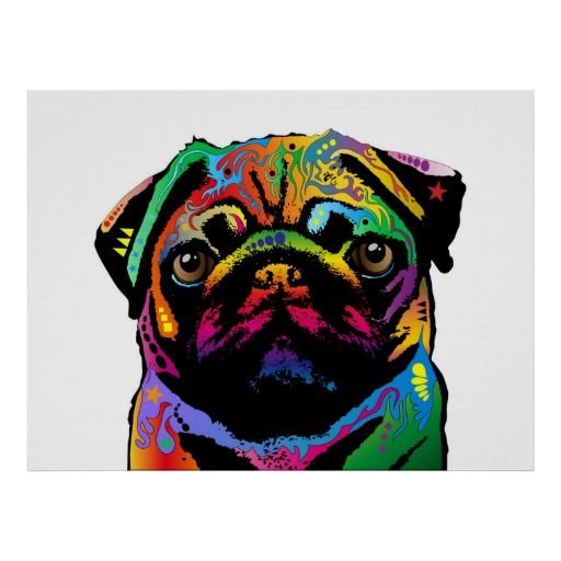 Разноцветные мопсы