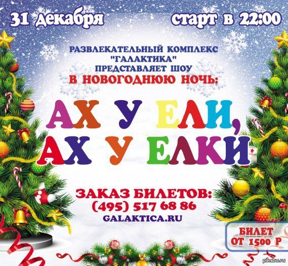 Винтер зимняя хвоя