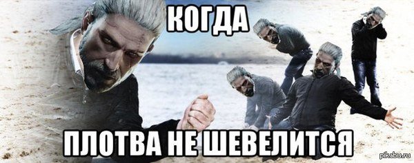 Шевелись плотва Ведьмак