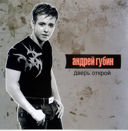 Андрей Губин обложка