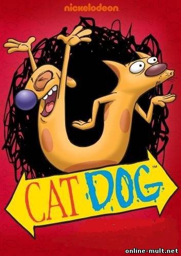 Котопес день рождения