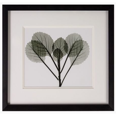 Постер с паспарту в раме