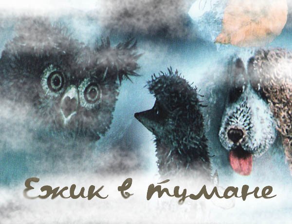 Ежик в тумане аватар