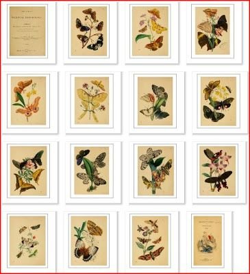 Мини картины для кукол