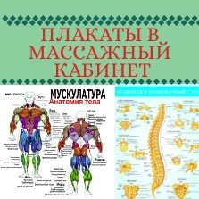 Анатомические плакаты для массажного кабинета