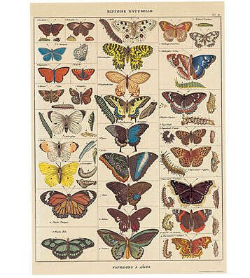 Goblincore aesthetic