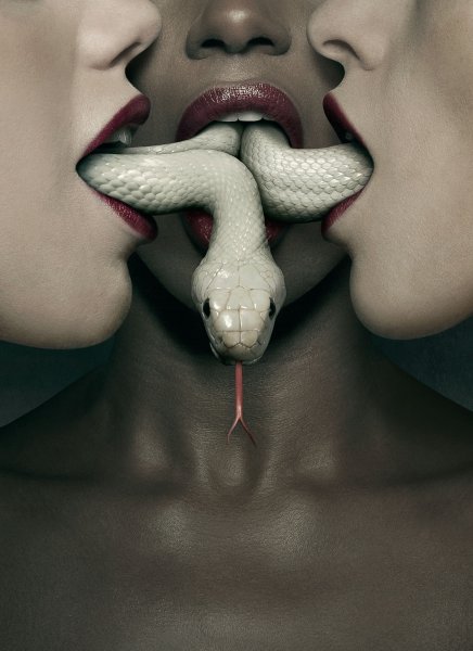 Американская история ужасов обложка