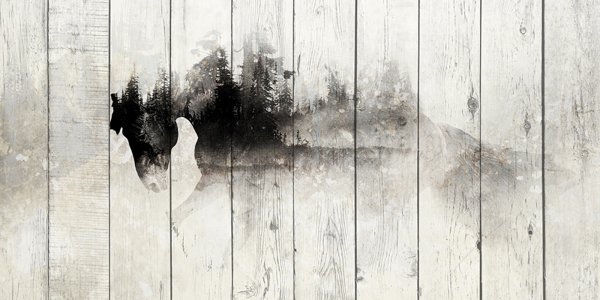 Постеры на деревянных досках