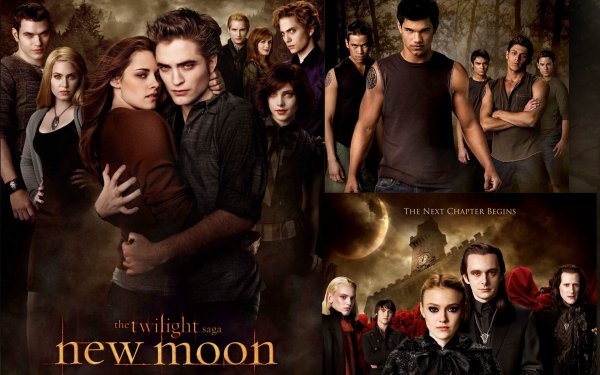 Сумерки сага рассвет обложка