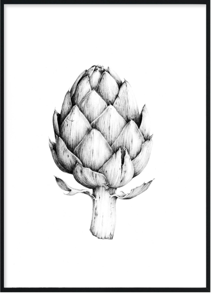 Артишок белый