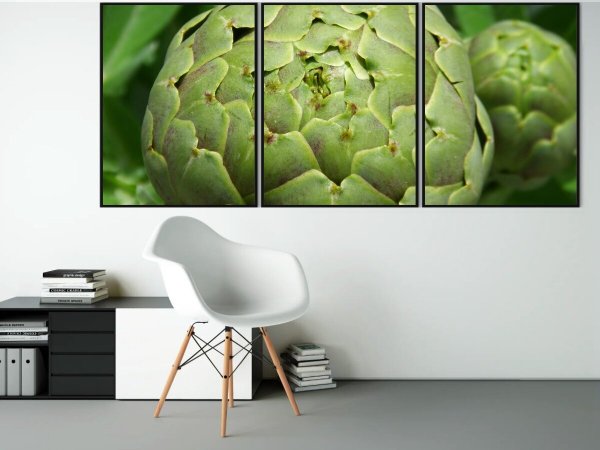 Постер ботаника артишок