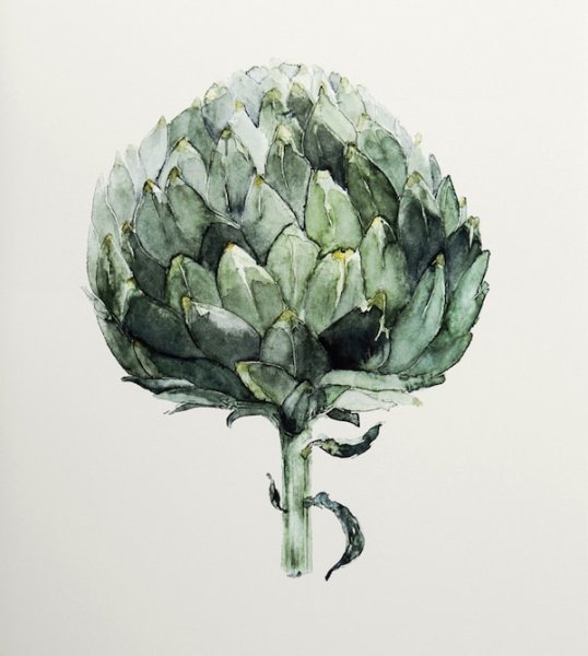 Постер артишок икеа