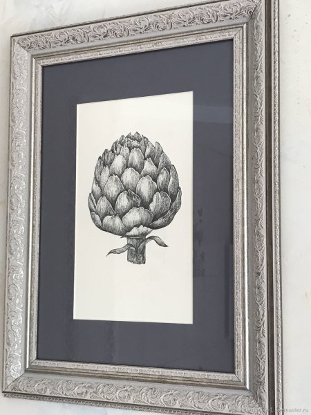 Артишок обои