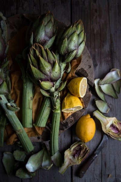 Ботаническая иллюстрация акварель артишок