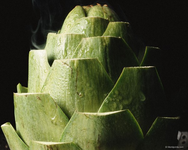 Артишок в разрезе цветок
