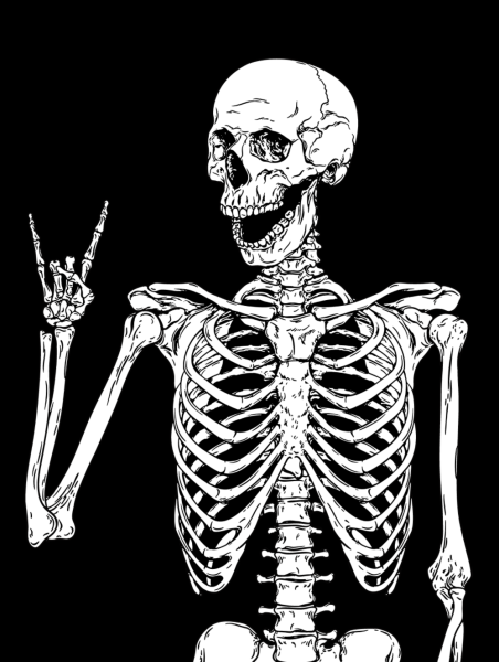 Скелет плакат