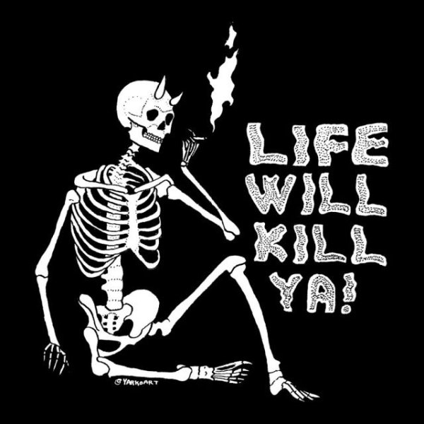 Скелет человека наглядное пособие