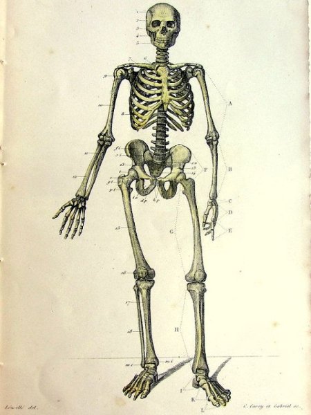 Travis Scott обложка альбома