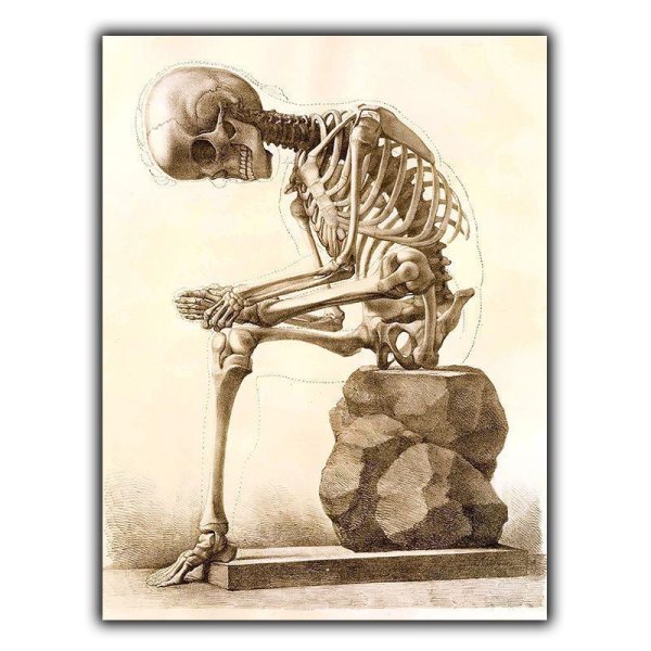 Скелет плакат