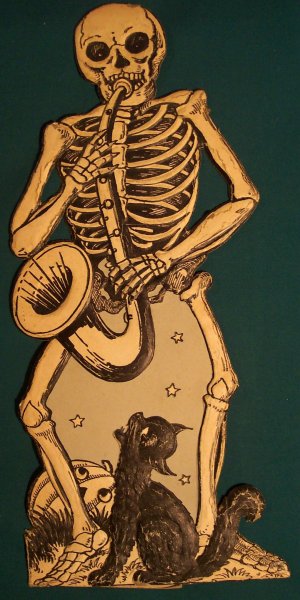 Анатомия человека скелет человека кости