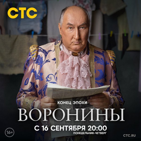 Воронины обложка сериала