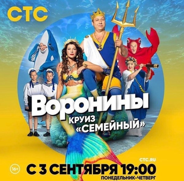 Воронины сериал Постер