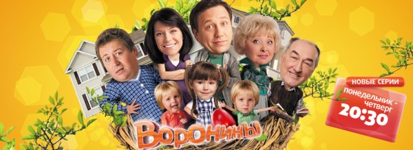 Воронины сериал Постер