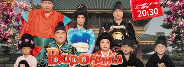 Воронины обложка сериала