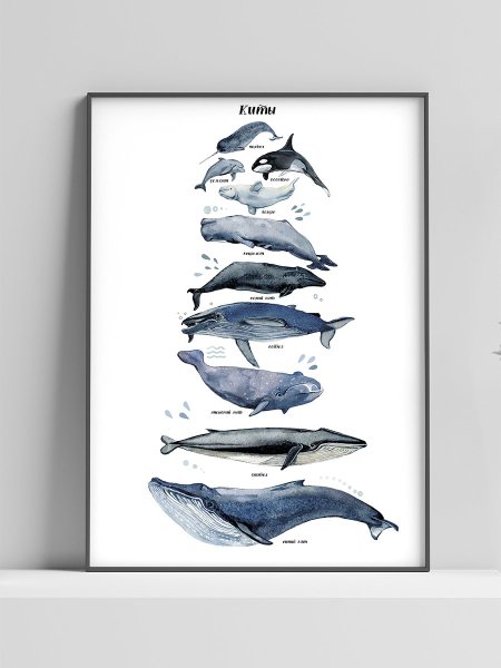 Картина кит