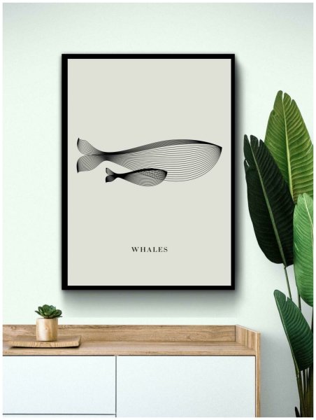 Постер киты 40х50 в рамке